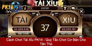 Cách chơi tài xỉu PK14